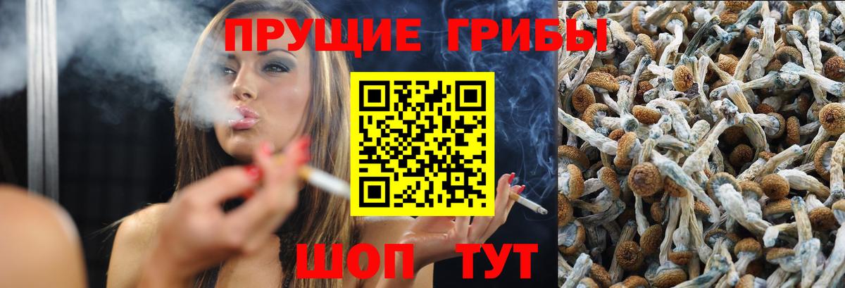 Кызыл  Галлюциногенные грибы мицелий  Вход с VPN 