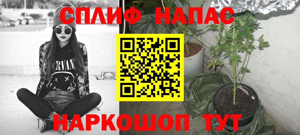 МАРИХУАНА тримм  Бошки марихуана AK-47  Кызыл  Конопля тримм  Вход с VPN 